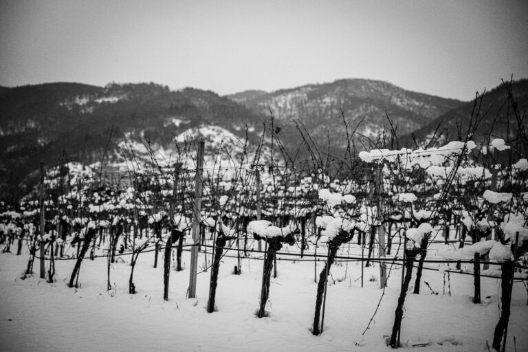 122 - wachauwinter2web-4140