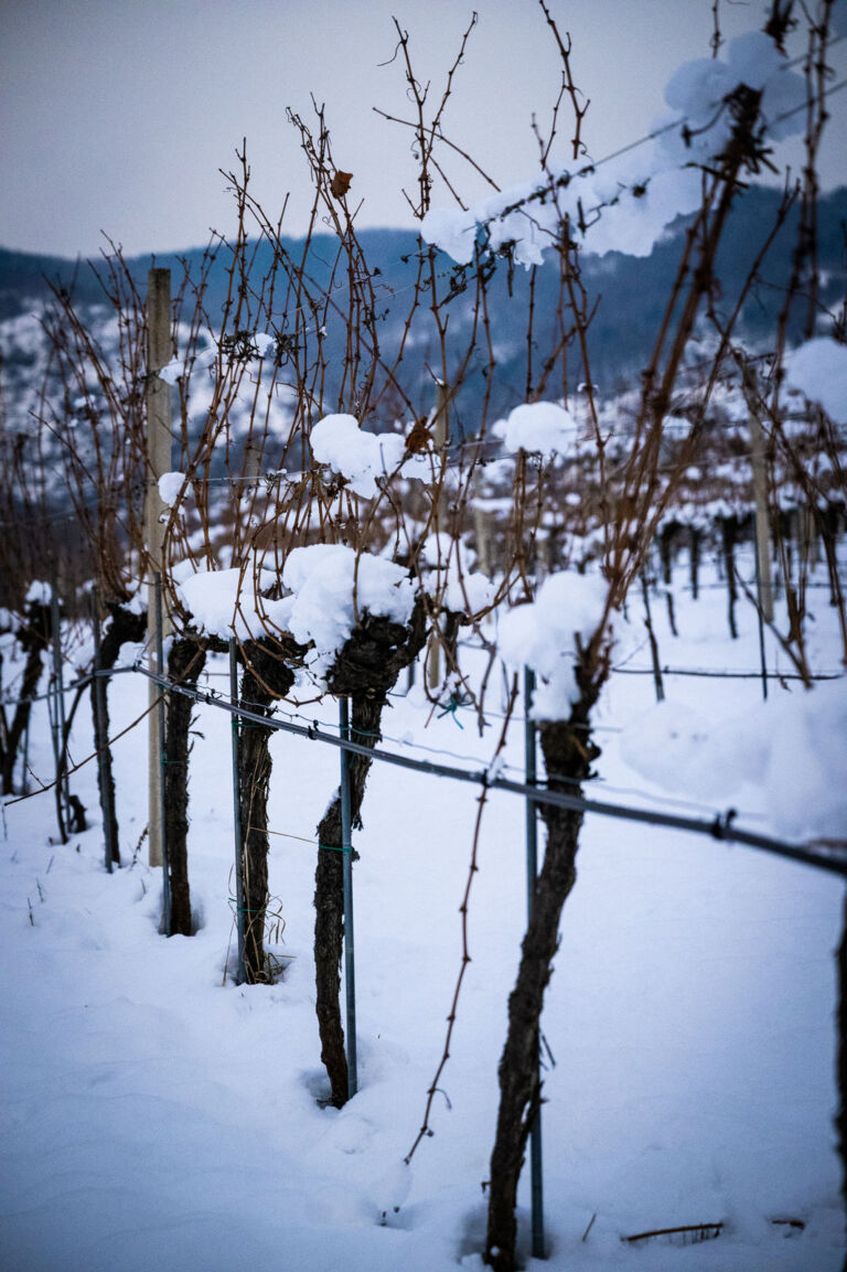 123 - wachauwinter2web-4142