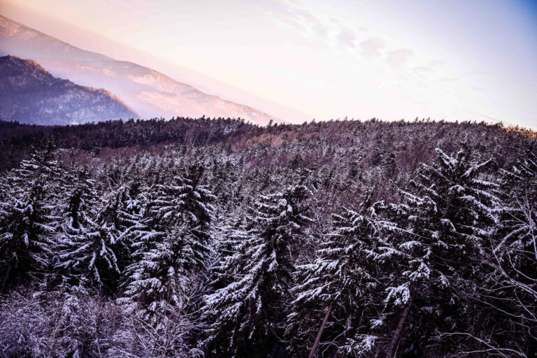 160 - wachauwinter-5321