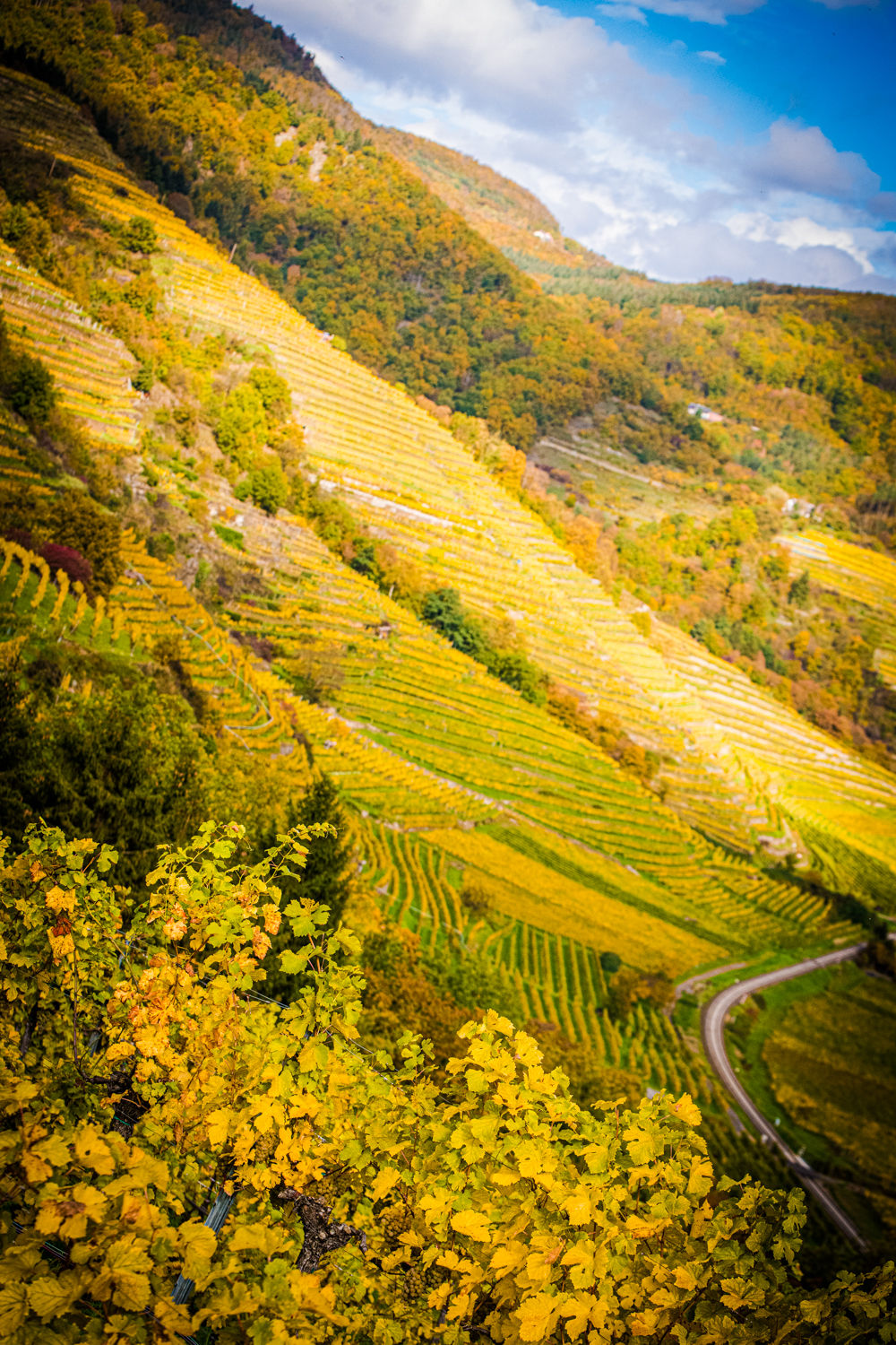 blick-zum-kaiserberg