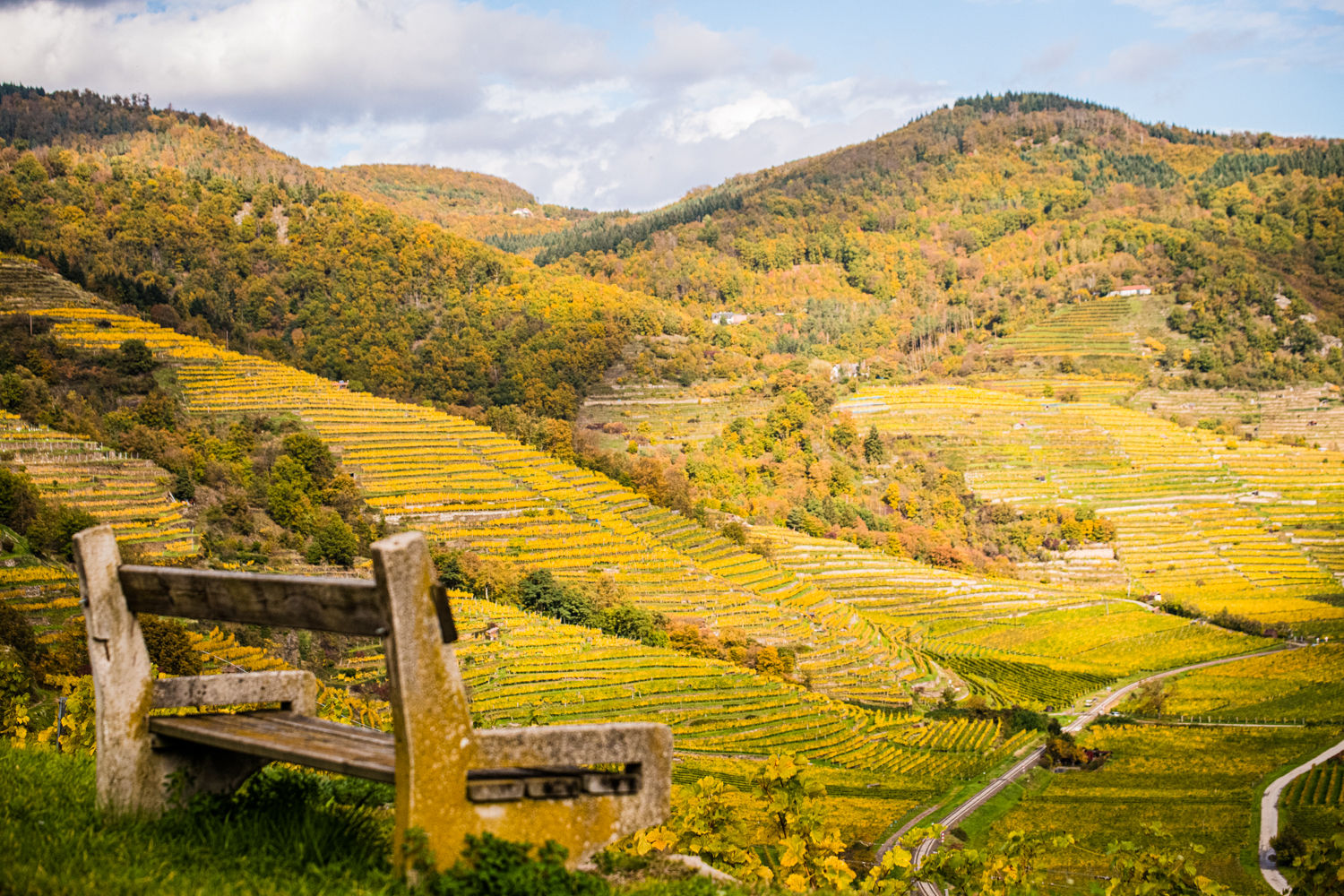blick-zum-kaiserberg-2