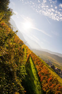 28 - IMG_8458