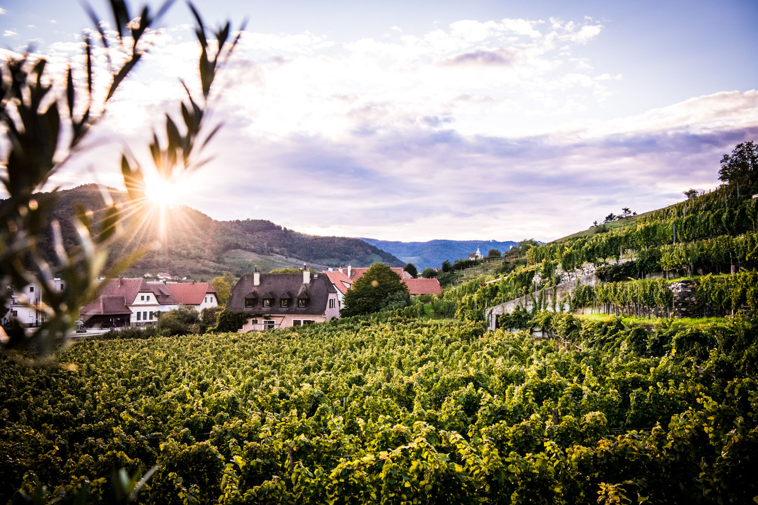 ausblick-vom-kellerschloessel-in-duernstein