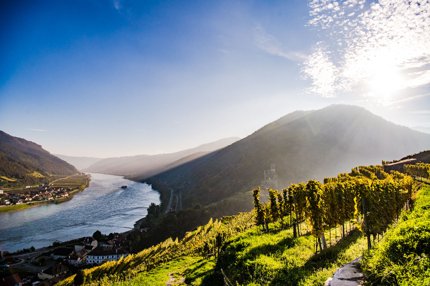 hinterhaus-und-der-jauerling