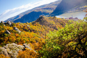 herbstvonderkanzel_web-1814