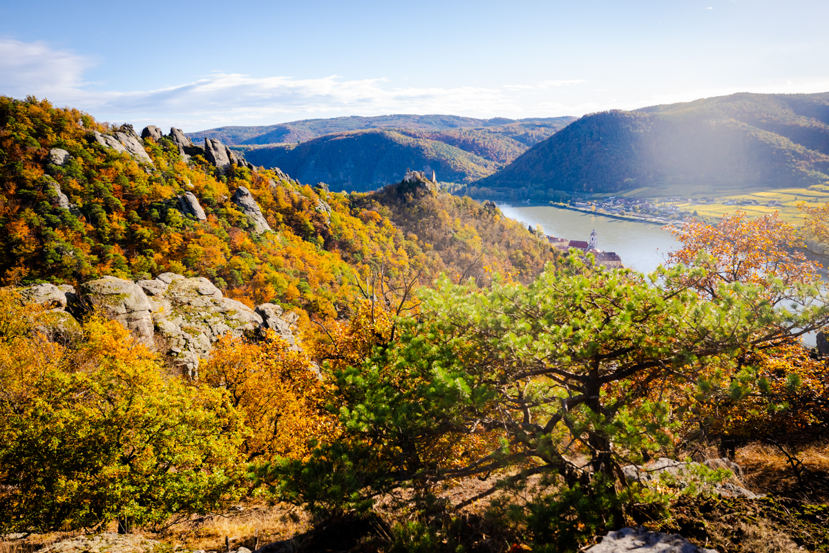 herbstliche-gruesse-vom-vogelbergsteig