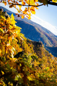 herbstvonderkanzel_web-1821