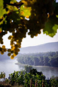 kaiser-liebenbersept23_web-9122