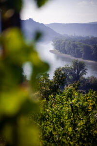 kaiser-liebenbersept23_web-9130