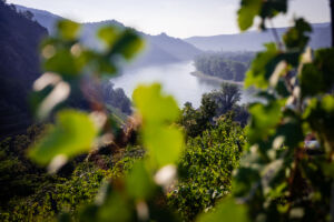 kaiser-liebenbersept23_web-9133