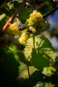 kaiser-liebenbersept23_web-9160