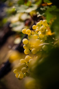 kaiser-liebenbersept23_web-9174