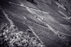 kaiser-liebenbersept23_web-9221