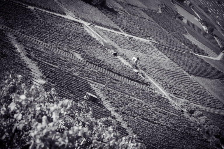 kaiser-liebenbersept23_web-9221