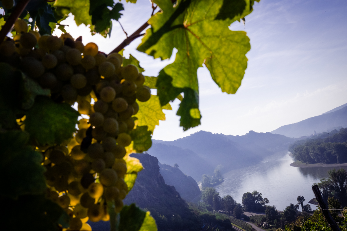 blick-vom-liebenberg