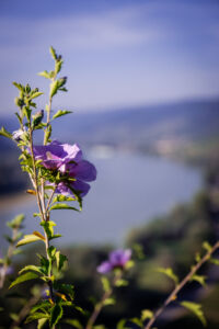 kaiser-liebenbersept23_web-9298