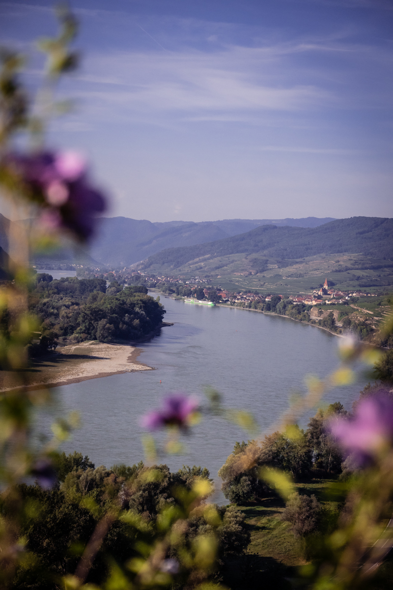 blumige-aussicht-vom-liebenberg