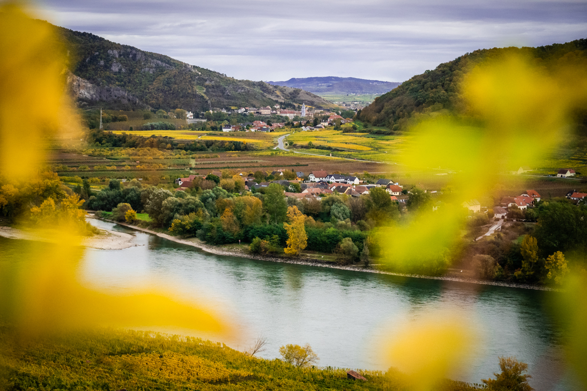 ried-achleiten-mit-blick-stromabwaerts