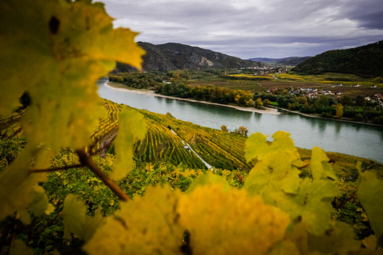 leseprager23-web-9483