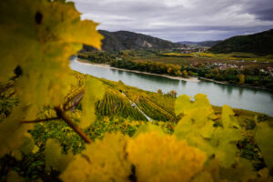 leseprager23-web-9483