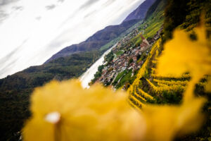 leseprager23-web-9486