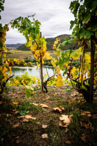 leseprager23-web-9489