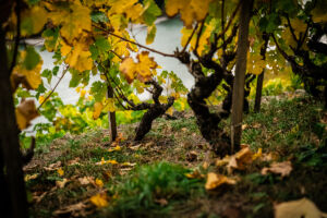 leseprager23-web-9492