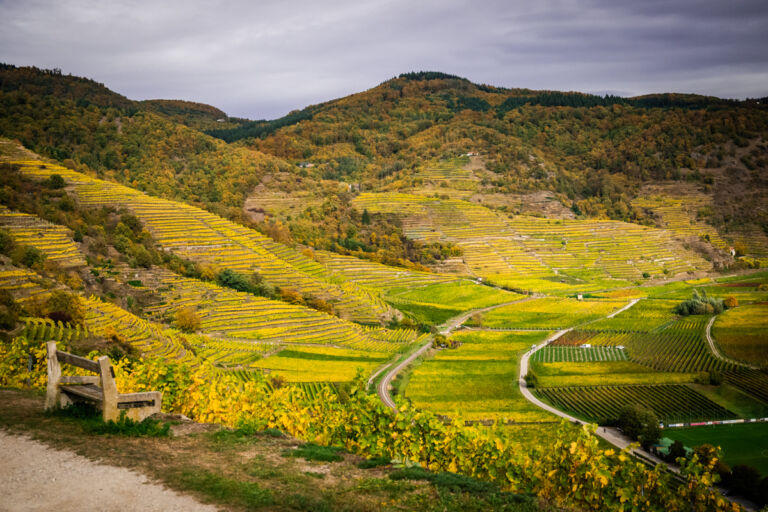 leseprager23-web-9517