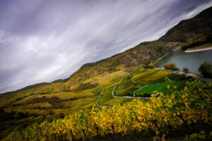 leseprager23-web-9519