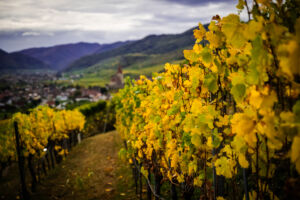 leseprager23-web-9531