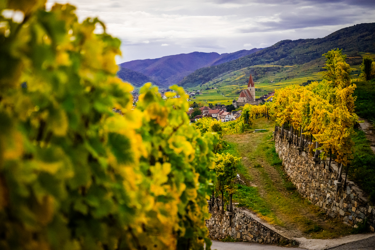 ried-klaus-mit-blick-auf-weissenkirchen
