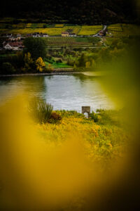 leseprager23-web-9541