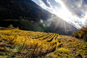 spitzergrabenherbst23_web-2685