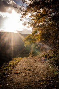 spitzergrabenherbst23_web-2691