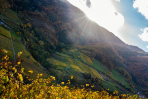 spitzergrabenherbst23_web-2716