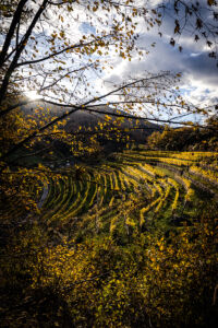 spitzergrabenherbst23_web-2742