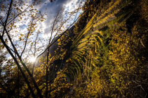 spitzergrabenherbst23_web-2747