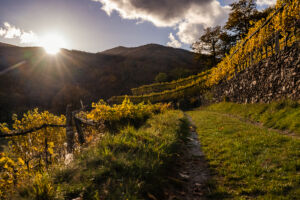 spitzergrabenherbst23_web-2752