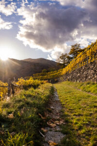 spitzergrabenherbst23_web-2754