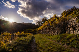 spitzergrabenherbst23_web-2759