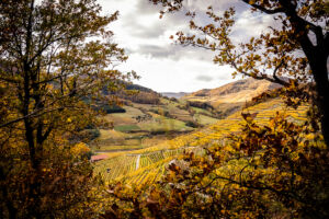 spitzergrabenherbst23_web-2773