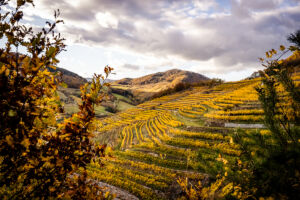 spitzergrabenherbst23_web-2775