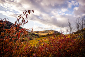 spitzergrabenherbst23_web-2776