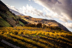 spitzergrabenherbst23_web-2779