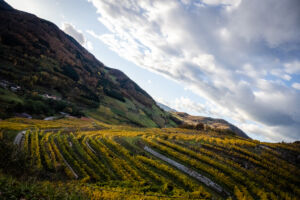 spitzergrabenherbst23_web-2780