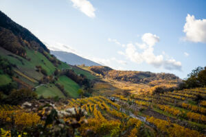 spitzergrabenherbst23_web-2803