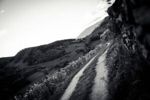 spitzergrabenherbst23_web-2847