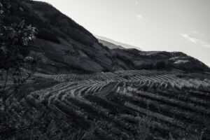 spitzergrabenherbst23_web-2856