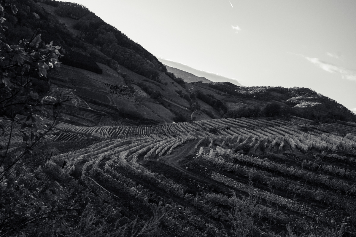 gute-nacht-im-spitzer-graben