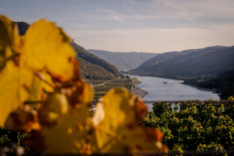 spitzgoldenerherbst-web-9213